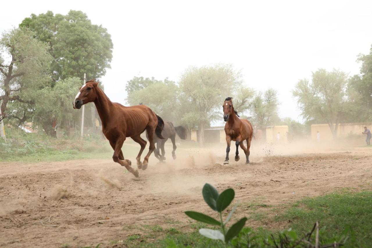 Отель Roop Niwas Kothi, Near Mandawa Nawalgarh Экстерьер фото